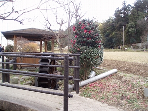 神社付近の水車