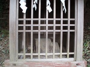 祠内部(御神木が祭ってあるようです)