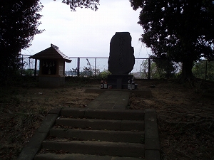 全体(逆光になってしまいました…)